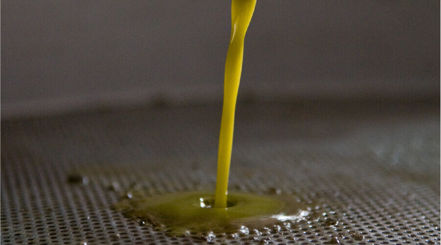 finca-alaoliva-turismo-aceites-9